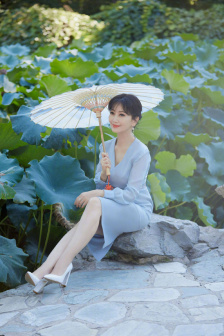 新上门女婿电视剧